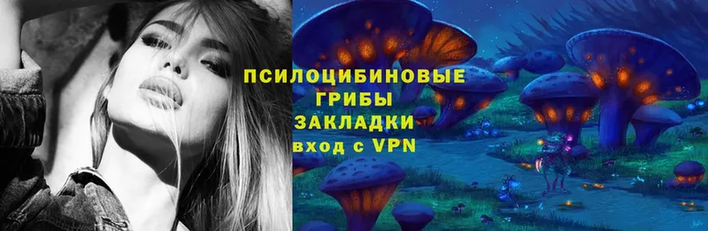 Псилоцибиновые грибы Psilocybe  omg ссылка  Гремячинск 