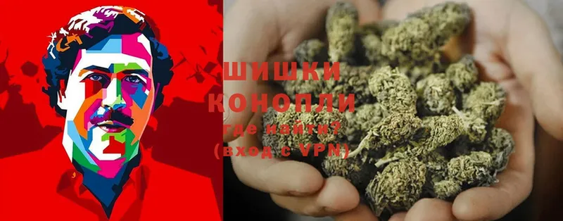 Бошки Шишки White Widow  Гремячинск 